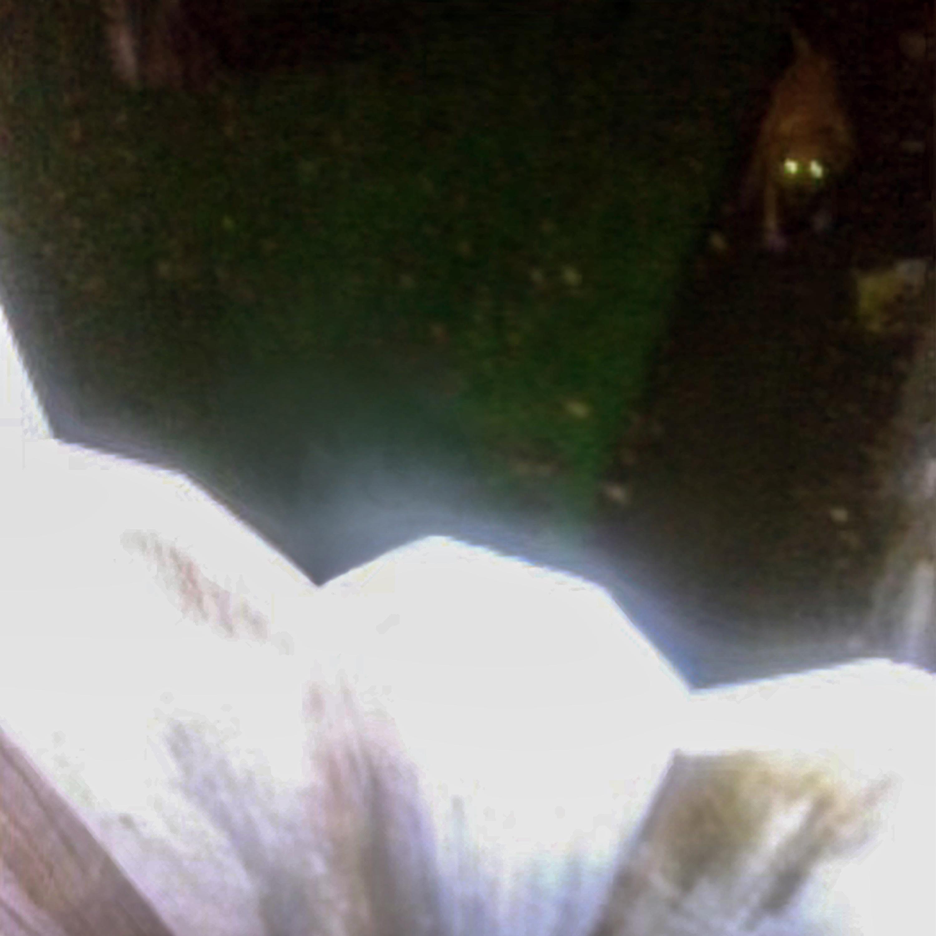 Cover My Ears - Single