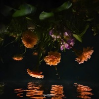 Beneath Still Waters - separation season, Donovan S Davis & 2SC