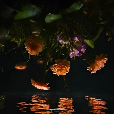 Beneath Still Waters