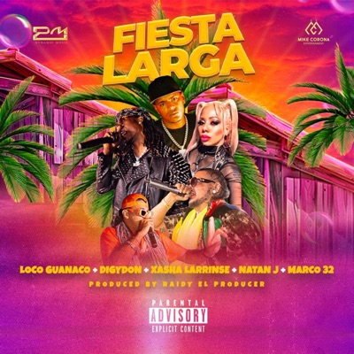 FIESTA LARGA REMIX - Single