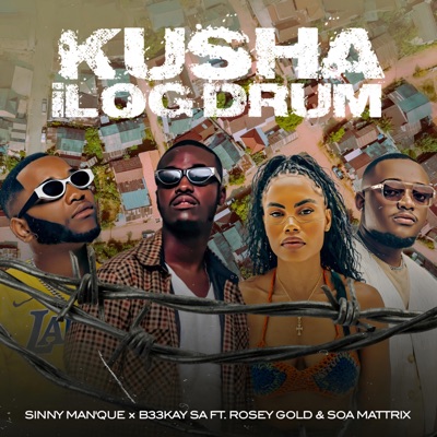 Kusha iLog Drum (feat. Soa Mattrix & Rosey Gold) - Single