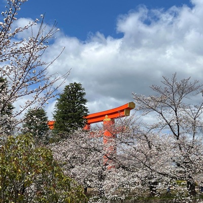 decrees of Komokuten - Single