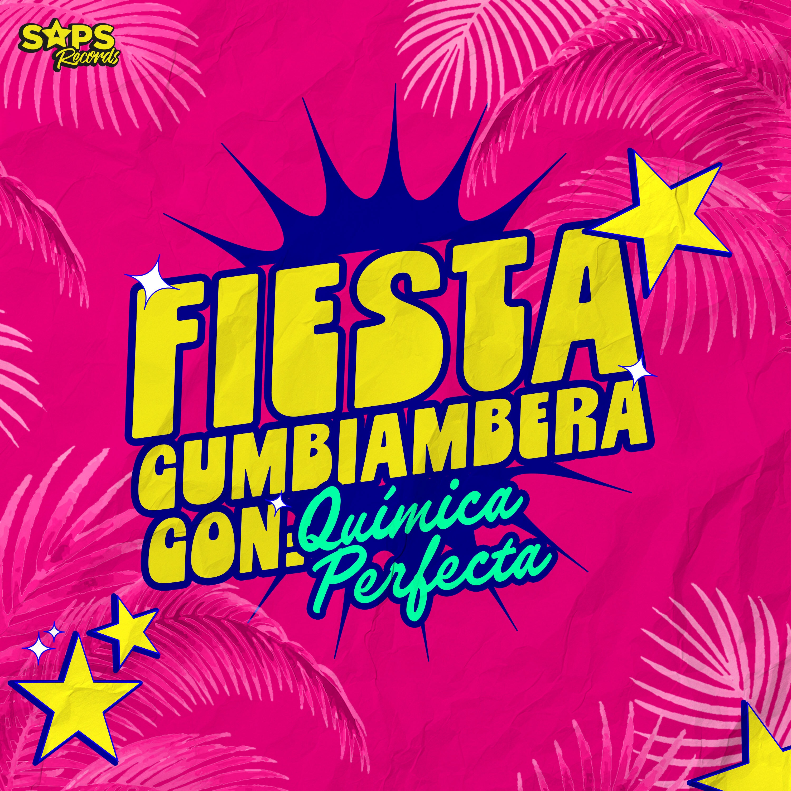 Fiesta Cumbiambera Con Química Perfecta