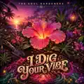 I Dig Your Vibe