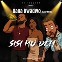 Sisi Mu Den (feat. Paa Kwasi) - Single - Nana Kwadwo