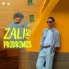 Zali Zali - Single