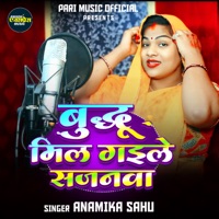Budhu Mil Gile Sajnwa - Single - Anamika Sahu