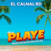 Playe (feat. DJ Kiko El De Lo Alka & El Movimiento 420) - Single - El Calnal RD