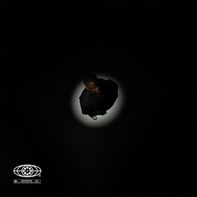 THE SHINE: A HIPHOP STORY