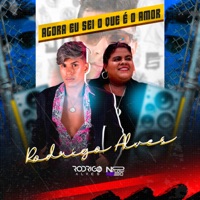 Agora Eu Sei o Que É o Amor (feat. Taina Som) - Single - Rodrigo Alves