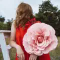 Orbit