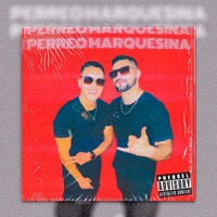 Perreo Marquesina (feat. KALEX) - Single - J santi
