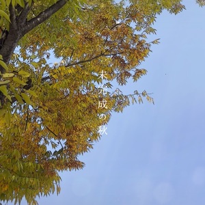 Unfinished Autumn