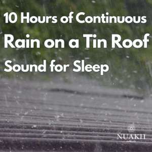 10 Hours of Rain on a Tin Roof for Sleeping, Continuous