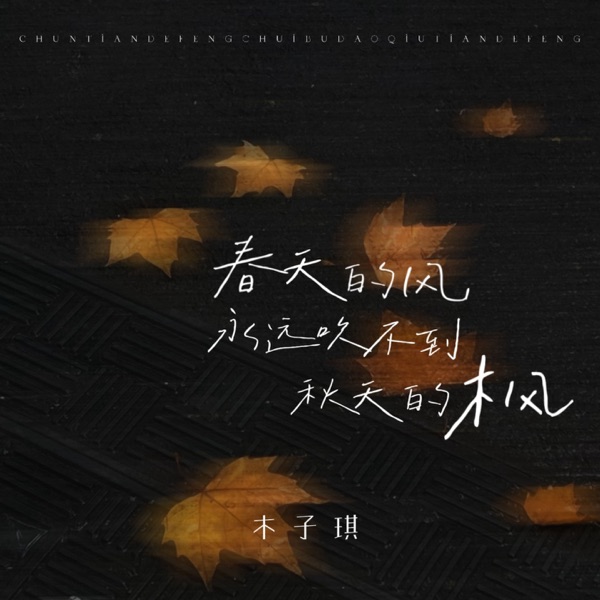 春天的风永远吹不到秋天的枫 (女版) - Single