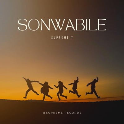 Sonwabile (feat. T Master & Gekko) - Single