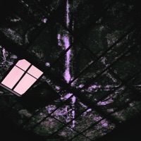 Different Views - Single - SprngXo