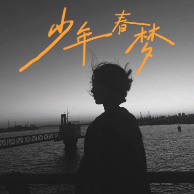 少年春梦 - Single