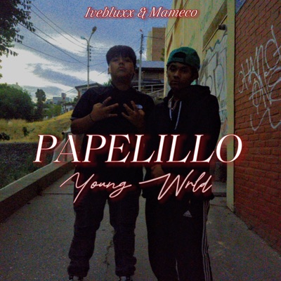 PAPELILLO (feat. Mameco) - Single