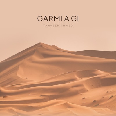 Garmi a Gi - Single