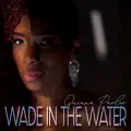 Wade In The Water