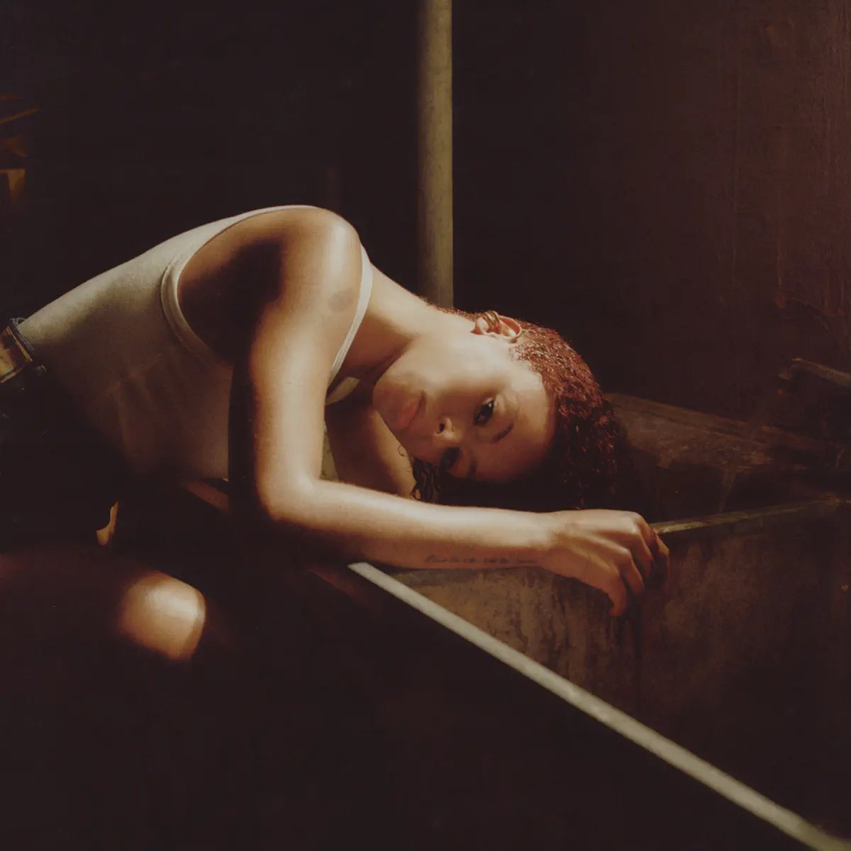 Ravyn Lenae - Bird's Eye (2024) [iTunes Plus AAC M4A]-新房子