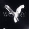 worry (ultra slowed) - LONOWN & riserayss lyrics