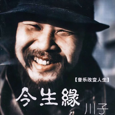 Destiny of this life cover