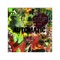 FAMILY FIRST FUKK FRIENDS - MoneyCounter Thump lyrics
