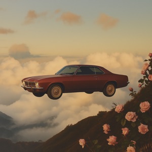Whip