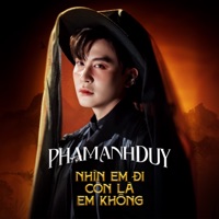 Nhìn Em Đi Còn Là Em Không - Single - Phạm Anh Duy