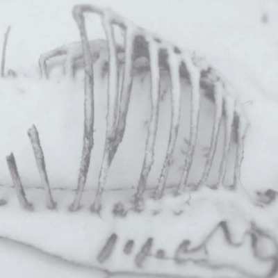 all alone (feat. bunni below) - Single