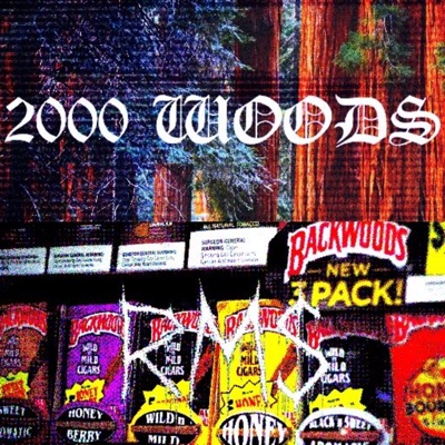 2000 Woods (feat. RM$Sosanami) - Single