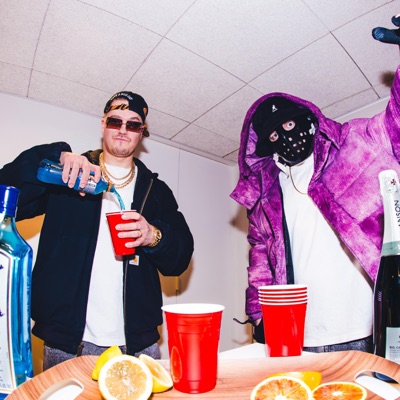 YLHÄÄL JA ALHAAL - Single