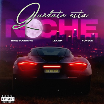 Quédate Esta Noche (feat. Horstconache, Lex Bm & Yonson) - Single