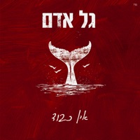 אין כבוד - Single - Gal Adam