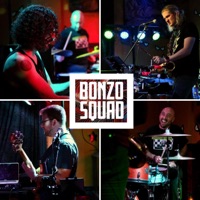 Sledgehammer (Live) - Single - Bonzo Squad