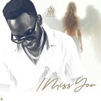 I Miss You - Single - DJ STYLE OF MUSIC