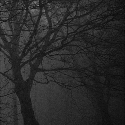 Disappear - Single