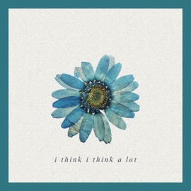 I Think I Think a Lot Koalres