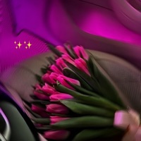 8 KM/H - Single - indica.