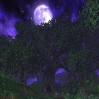 Not Slime - Single - Walkdowndre