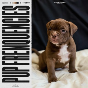 Pup Frequencies