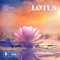 Lotus - A.M.R & Blood Groove & Kikis lyrics