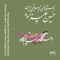 Naghmeh (feat. Ensemble) [Female] - Hossein Alizadeh lyrics