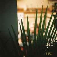 Compatible - EP - Ben Provencial