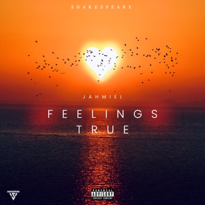 Feelings True - Single