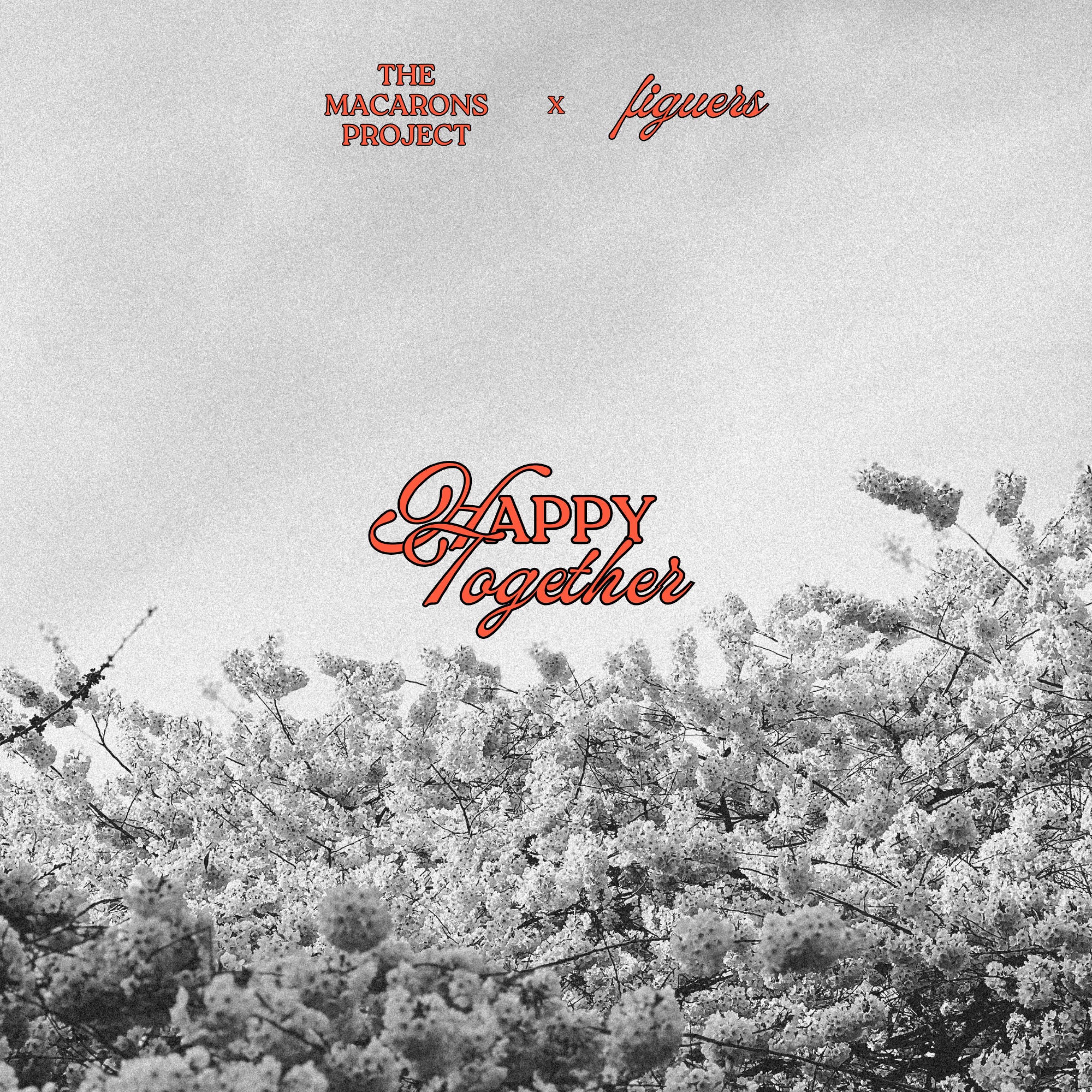 Happy Together - Single