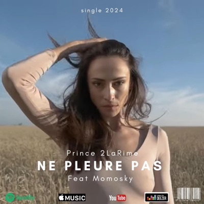 Ne Pleure Pas (feat. Momo Sky) - Single