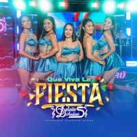 Deleites Andinos - Mix Que Viva la Fiesta: Que Viva la Fiesta / Perdiste Mi Cariño / Que Importa Que Hable la Gente